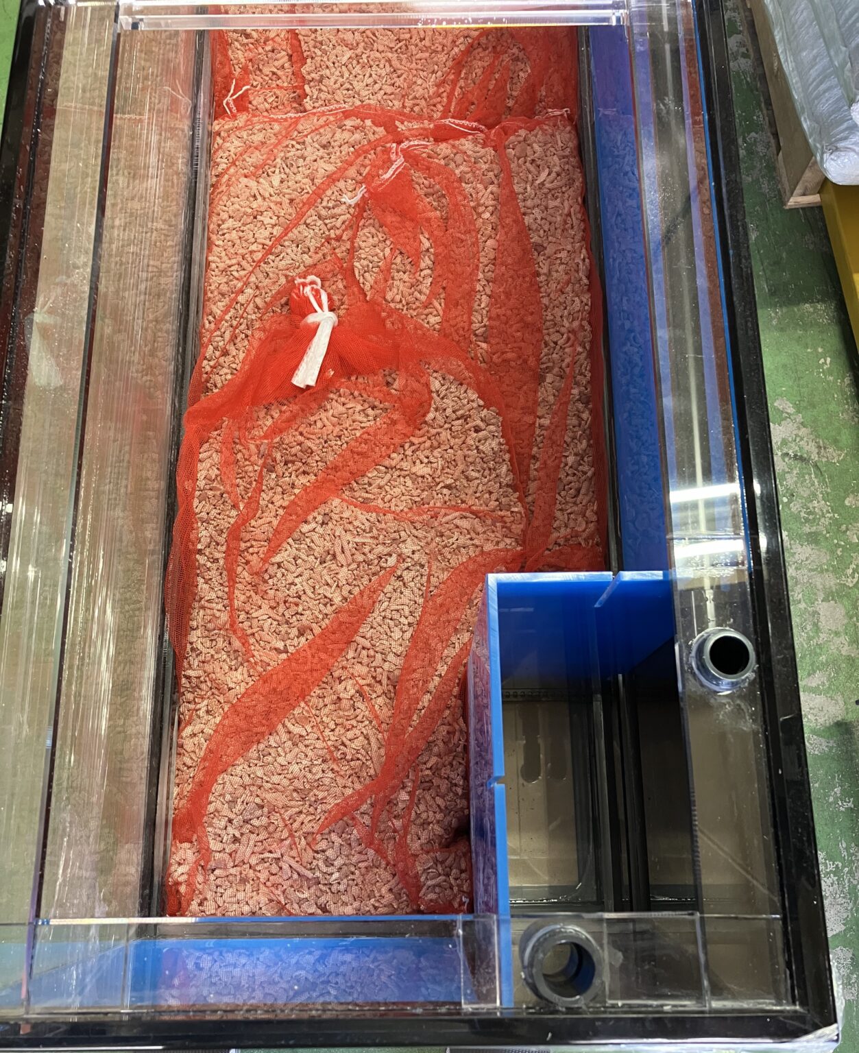 特注W1170 底面濾過 新規 活魚水槽 | 水槽設置・メンテナンス施工ブログ